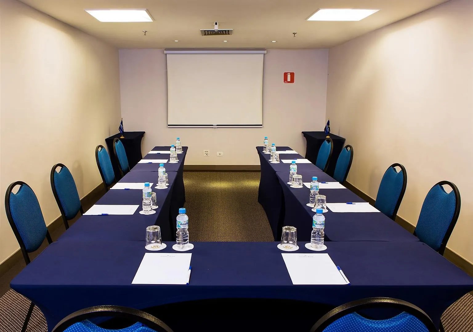 Hotel Belas Artes Sp Paulista - Managed By Accorhotels Sao Paulo